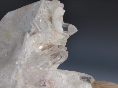 Double Terminated Quartz with Barnacles